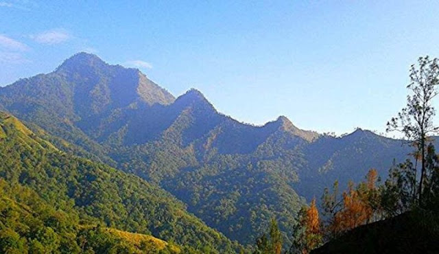 Menguak Seputar Misteri dan Legenda Gunung Wilis