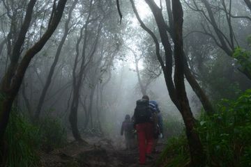  Menguak Misteri Keangkeran Alas Roban